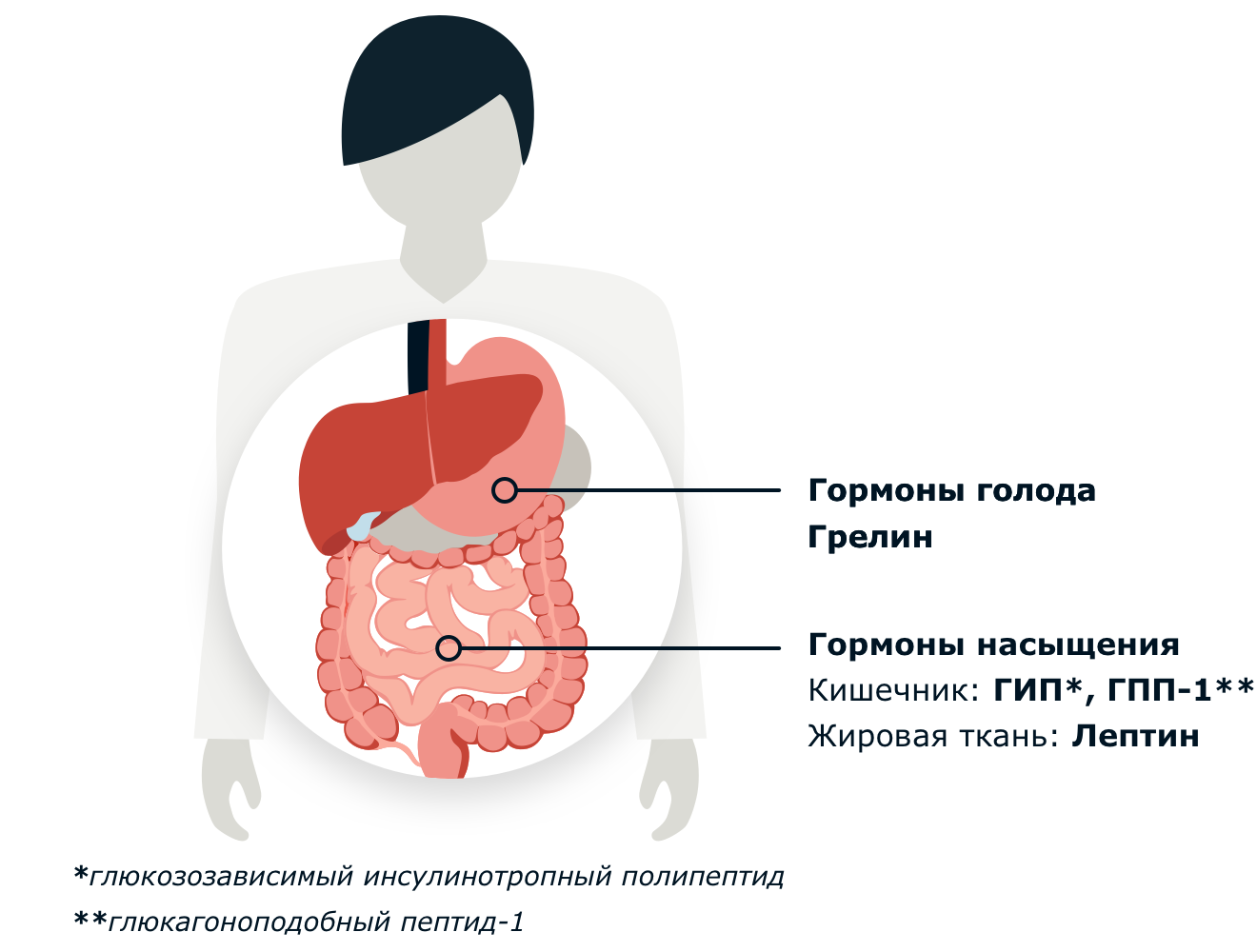 Гормоны